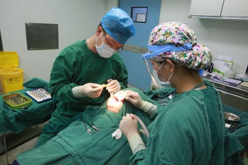 护航口腔健康,植得口腔启动金秋感恩惠民活动