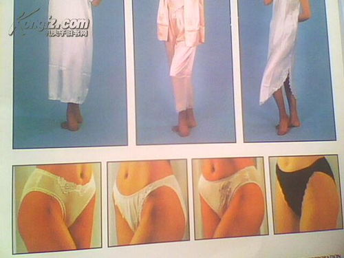 中国郑州交易中心画册 加8张商品宣传图片